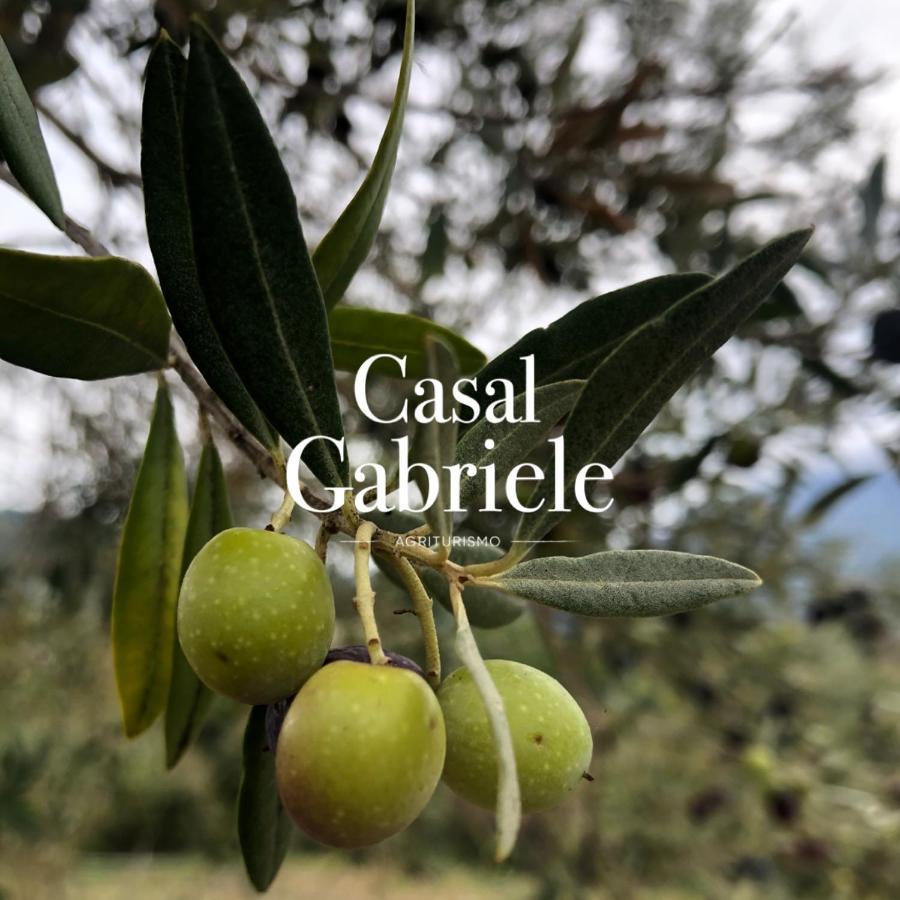 Willa Casal Gabriele Lettere Zewnętrze zdjęcie